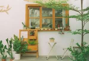 low maintenance patio plants budget cozy small rental balcony with easy‑care greenery