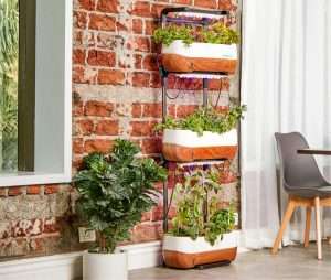 Real 4x8 budget balcony garden transformation story