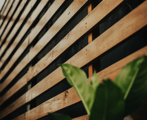 DIY freestanding wooden privacy screen in a sunny backyard