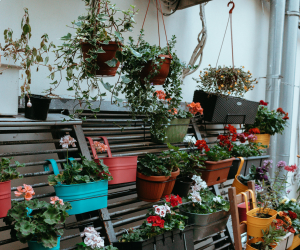 No drill budget balcony garden ideas for renters