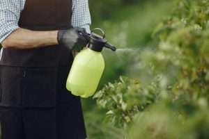 DIY vinegar weed killer natural garden weed hacks homemade organic weed control spray for home gardens