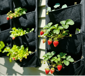 Hanging vertical planters for budget balcony gardens