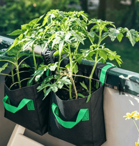 Fabric grow bags: best containers for budget balcony vegetable gardens