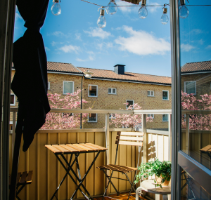  no‑drill small rental balcony climbing plants decor