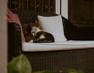 multi function rattan storage bench patio