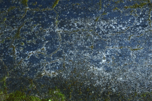 patio naturally without pressure washer
