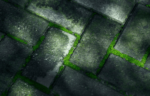 Clean patio pavers without damaging joints
