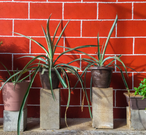 upcycled DIY patio storage